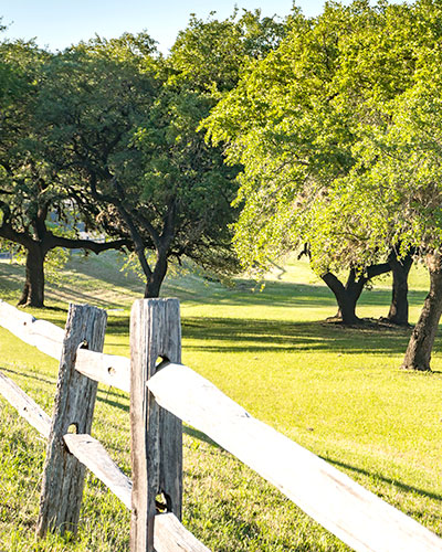 A fence next to an idyllic setting of trees and rolling pastures